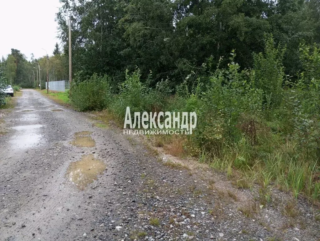 Участок в Ленинградская область, Приозерский район, Ларионовское ... - Фото 1