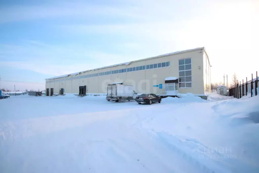 Склад в Ямало-Ненецкий АО, Новый Уренгой Энергетик мкр, 12 (1497 м) - Фото 2