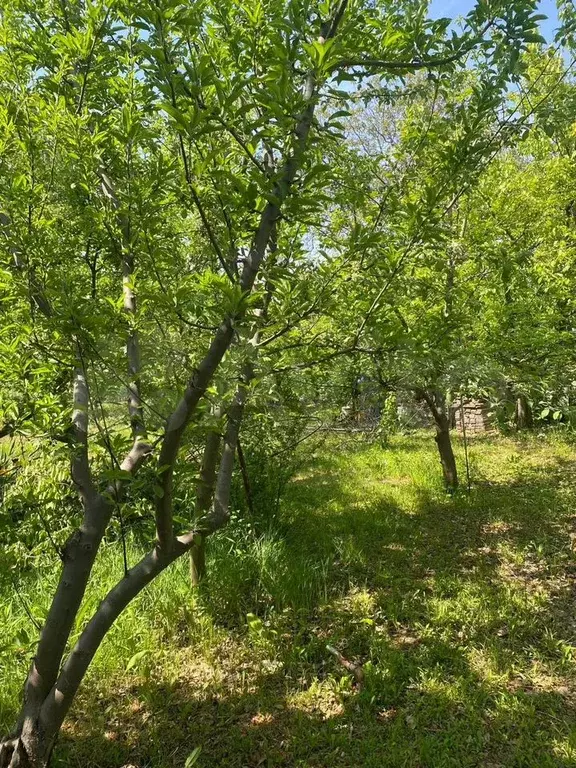 Дача 24 м на участке 6 сот. - Фото 1