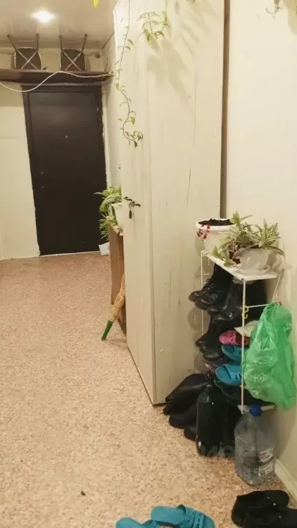 Комната Саратовская область, Саратов ул. Имени А.П. Шехурдина, 36 ... - Фото 2