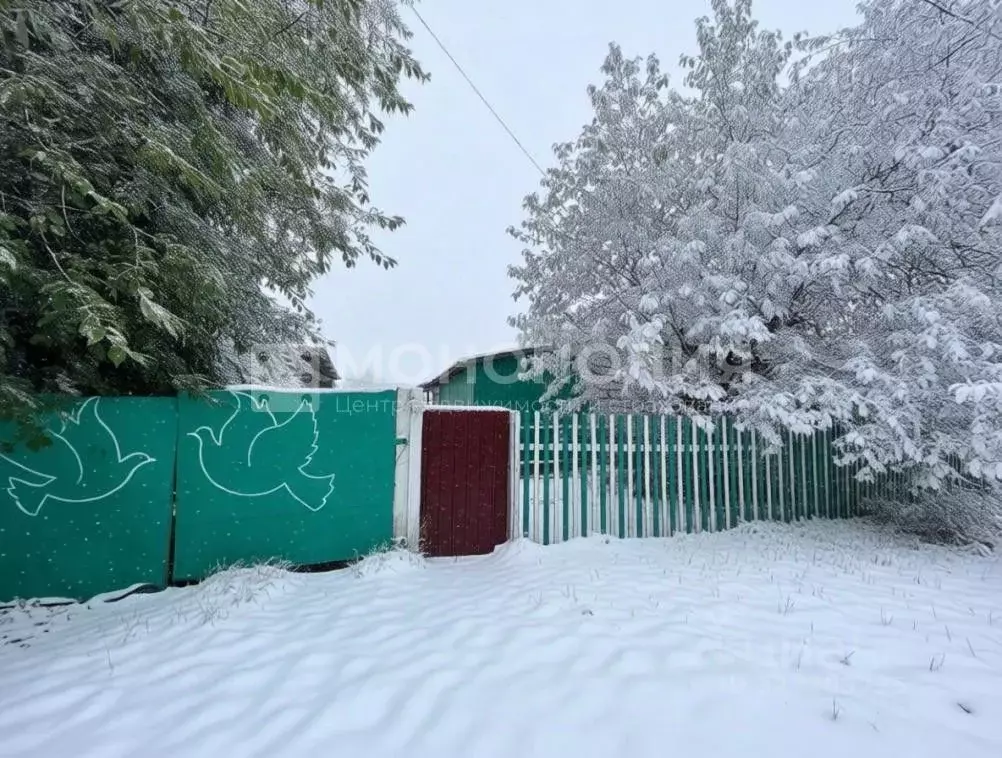 Дом в Амурская область, Белогорск городской округ, с. Низинное ул. ... - Фото 2