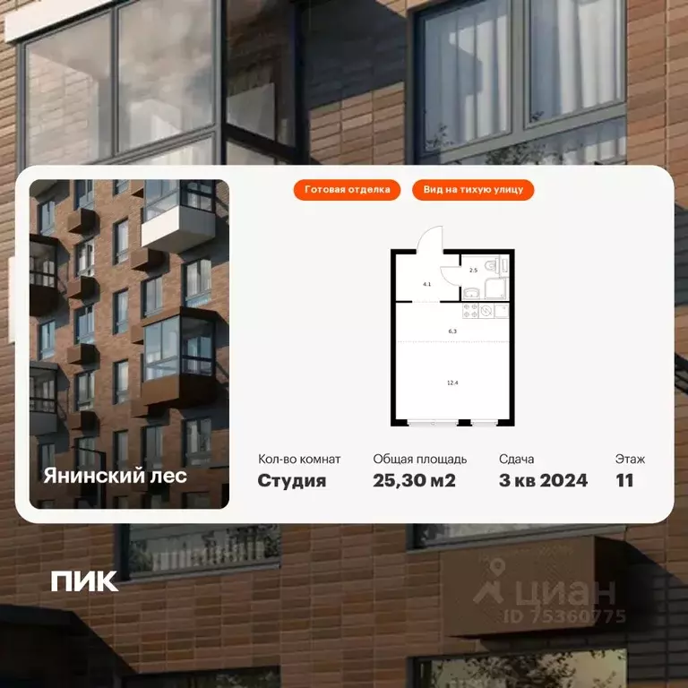 Студия Ленинградская область, Всеволожский район, Заневское городское ... - Фото 1