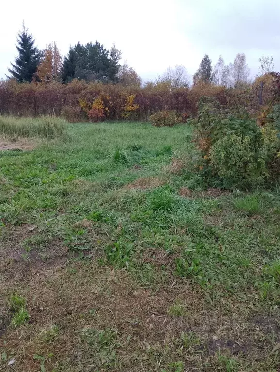 Участок в Тверская область, Конаковский муниципальный округ, д. ... - Фото 1