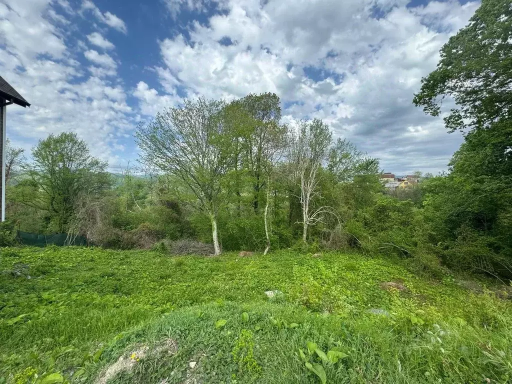 Участок в Краснодарский край, Сочи Королек садовое товарищество,  (3.5 ... - Фото 2