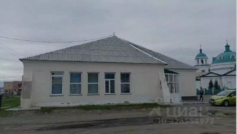 Офис в Курганская область, с. Звериноголовское ул. Октябрьская, 40 ... - Фото 1