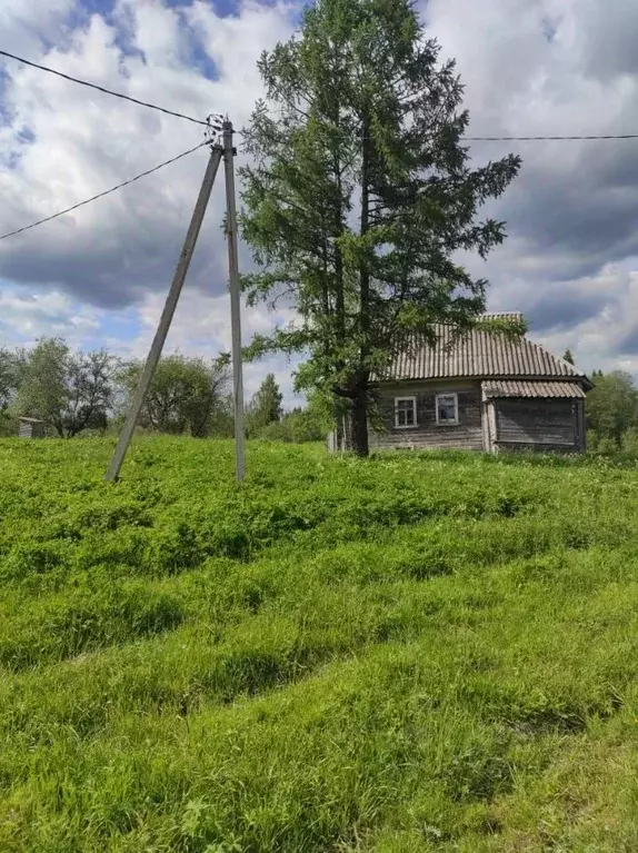 Участок в Новгородская область, Демянский муниципальный округ, д. ... - Фото 0