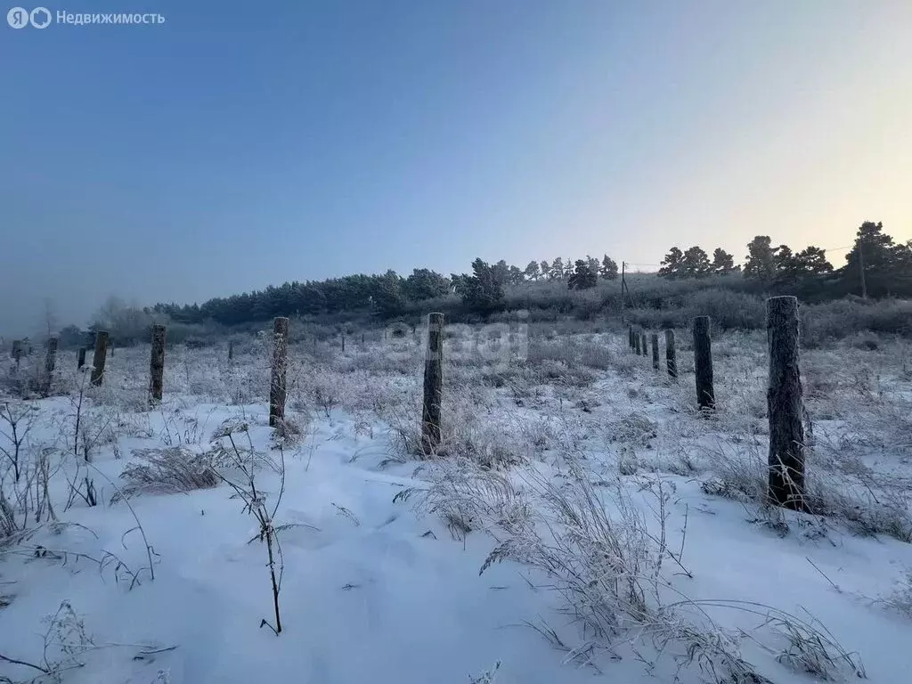 Участок в село Селиваниха, Берёзовая улица (11 м) - Фото 1