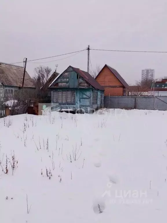 Участок в Новосибирская область, Новосибирск Коллективный труд садовое ... - Фото 0