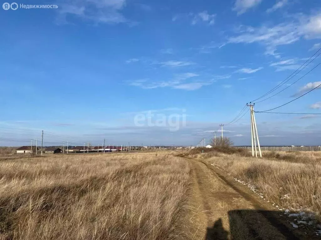 Участок в Алтайский район, село Белый Яр (14.7 м) - Фото 1