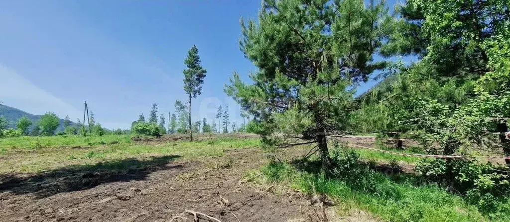 Участок в Алтай, Чемальский район, Узнезинское с/пос, с. Узнезя ул. ... - Фото 1