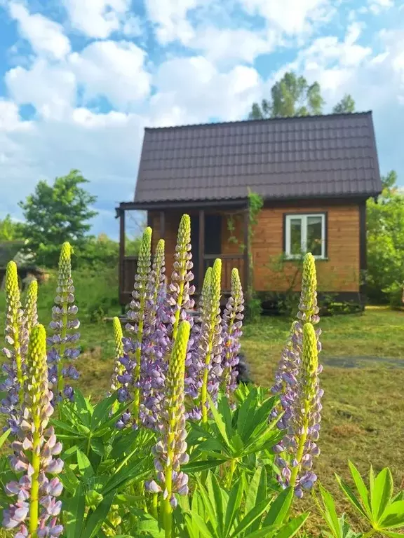 Дом в Ленинградская область, Ломоносовский район, Ропшинское с/пос, ... - Фото 2