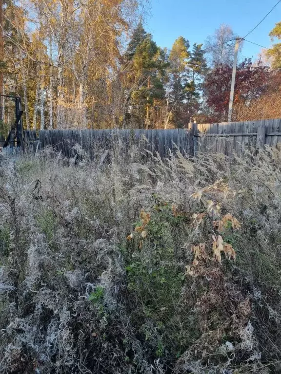 Дом в Курганская область, Кетовский муниципальный округ, с. Введенское ... - Фото 2