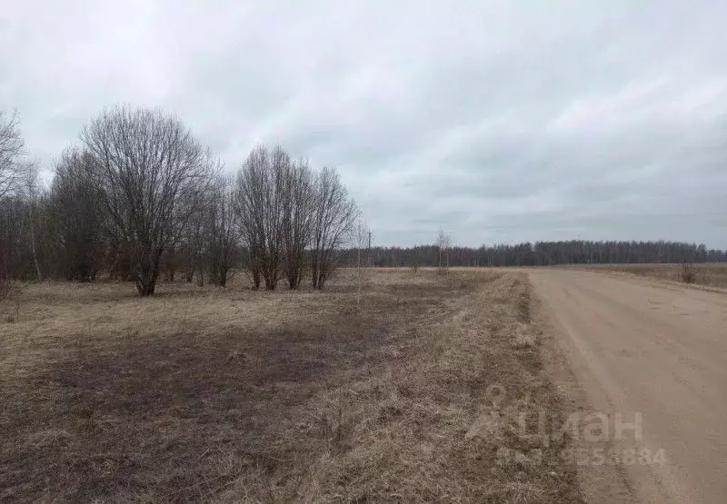 Участок в Московская область, Дмитровский муниципальный округ, д. ... - Фото 0