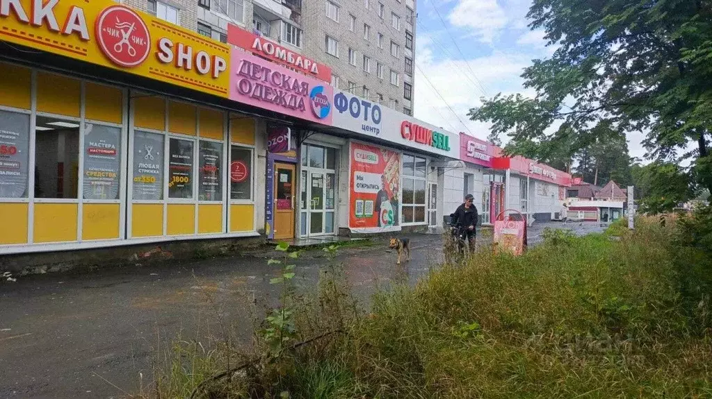 Помещение свободного назначения в Свердловская область, Асбест ул. ... - Фото 0