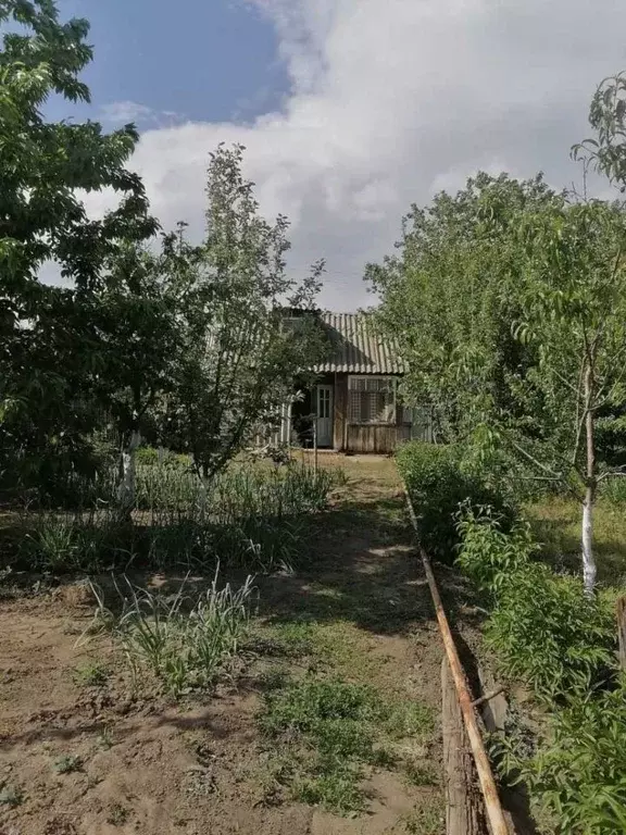 Участок в Ростовская область, Белая Калитва БКМПО-1 садоводческое ... - Фото 1