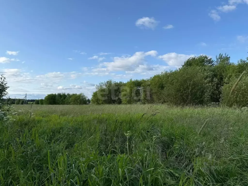Участок в Вологодская область, Великоустюгский муниципальный округ, ... - Фото 2