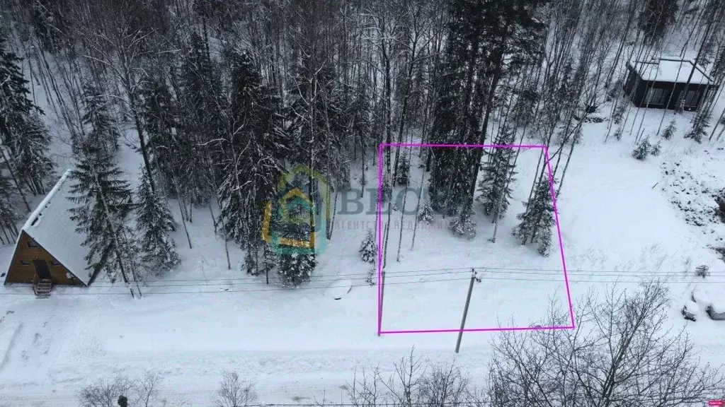 Участок в Ленинградская область, Всеволожский район, Токсовское ... - Фото 2