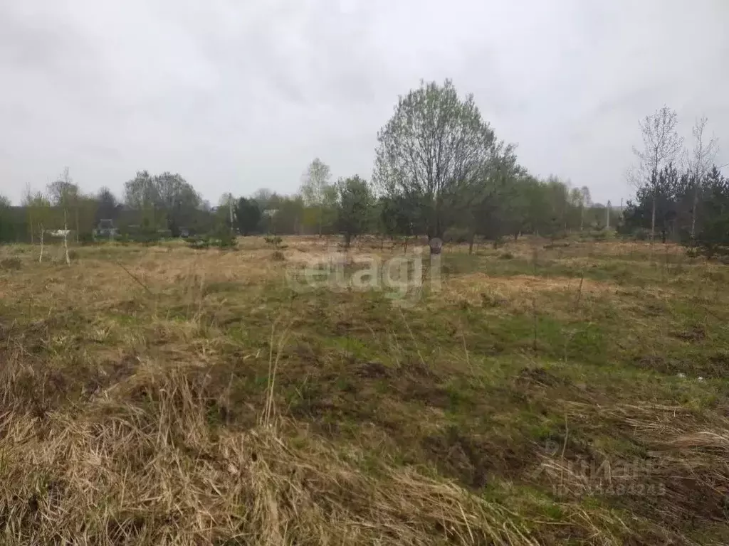 Участок в Калужская область, Дзержинский район, Рудня с/пос, д. Матово ... - Фото 2