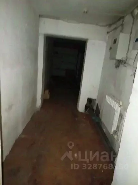 Помещение свободного назначения в Сахалинская область, Смирных пгт ул. ... - Фото 2