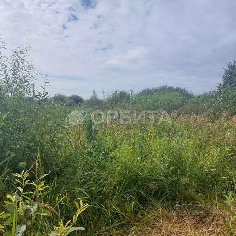 Участок в Тюменская область, Тюмень Царево садовое товарищество, ул. ... - Фото 0