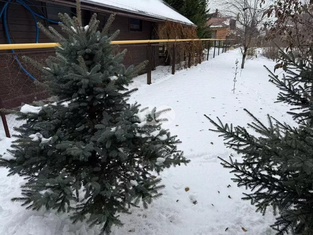 Участок в Новосибирская область, Новосибирский район, пос. ... - Фото 1