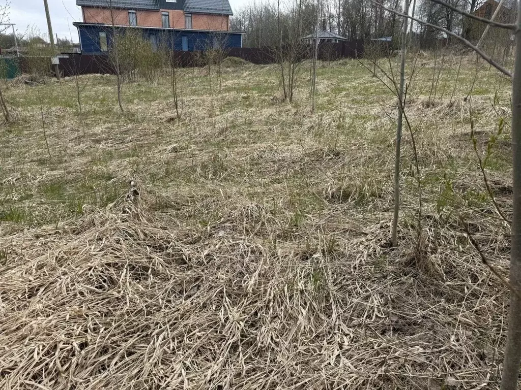 Участок в Ленинградская область, Выборгский район, Красносельское ... - Фото 2