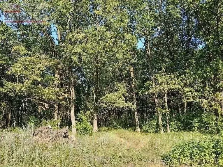 Участок в Самарская область, Волжский район, Петра Дубрава городское ... - Фото 1