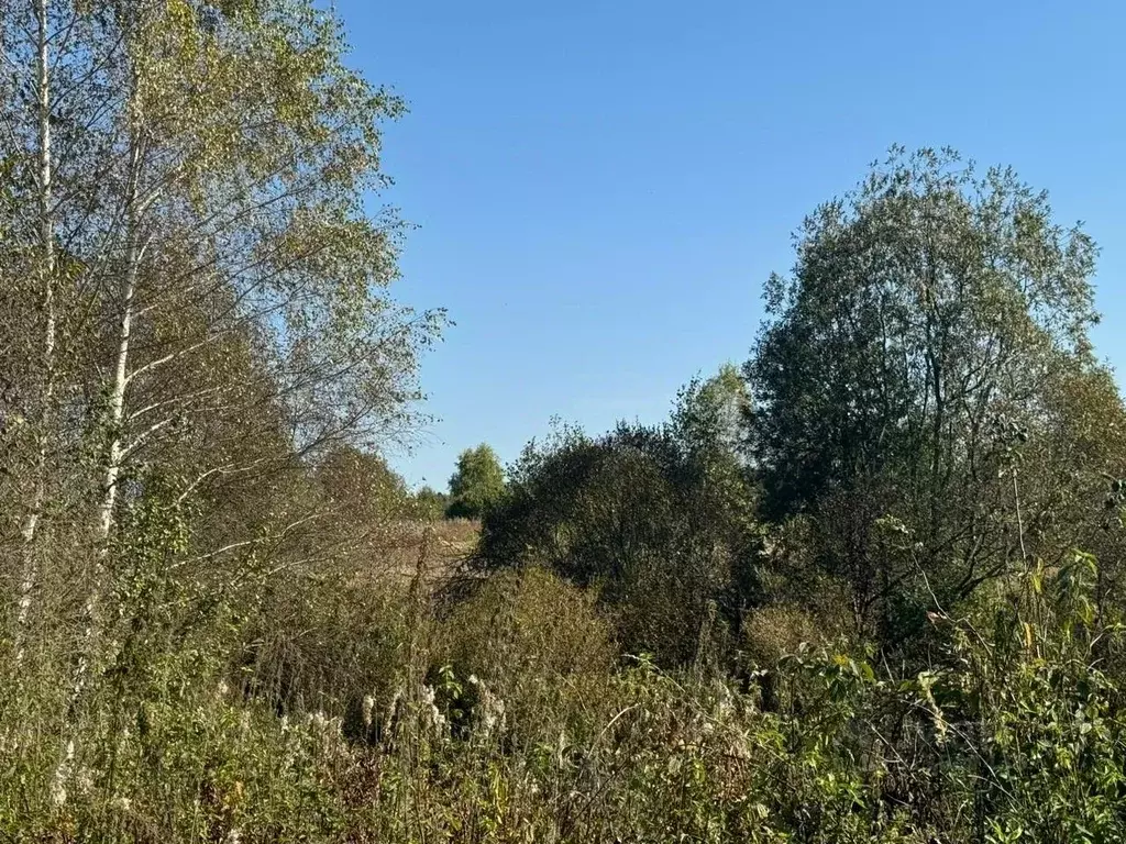 Участок в Московская область, Солнечногорск городской округ, д. Мостки ... - Фото 0