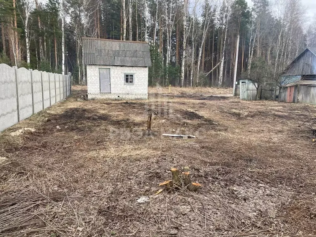 Дом в Брянская область, Брянский район, Нетьинское с/пос, Весна СДТ  ... - Фото 2