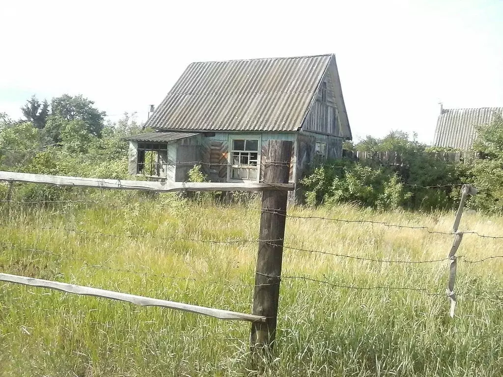 Участок в Сельцо, СДТ № 6 (4.14 м) - Фото 2