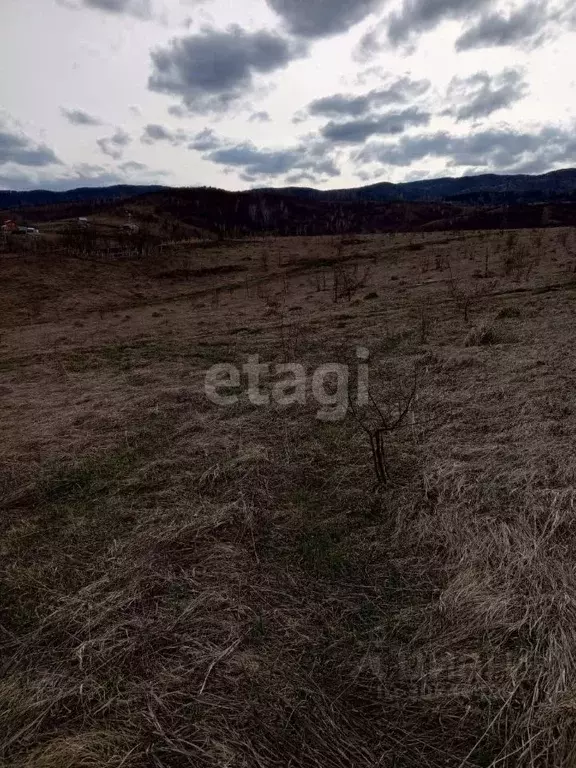 Участок в Алтайский край, Алтайский район, с. Алтайское ул. Зои ... - Фото 0