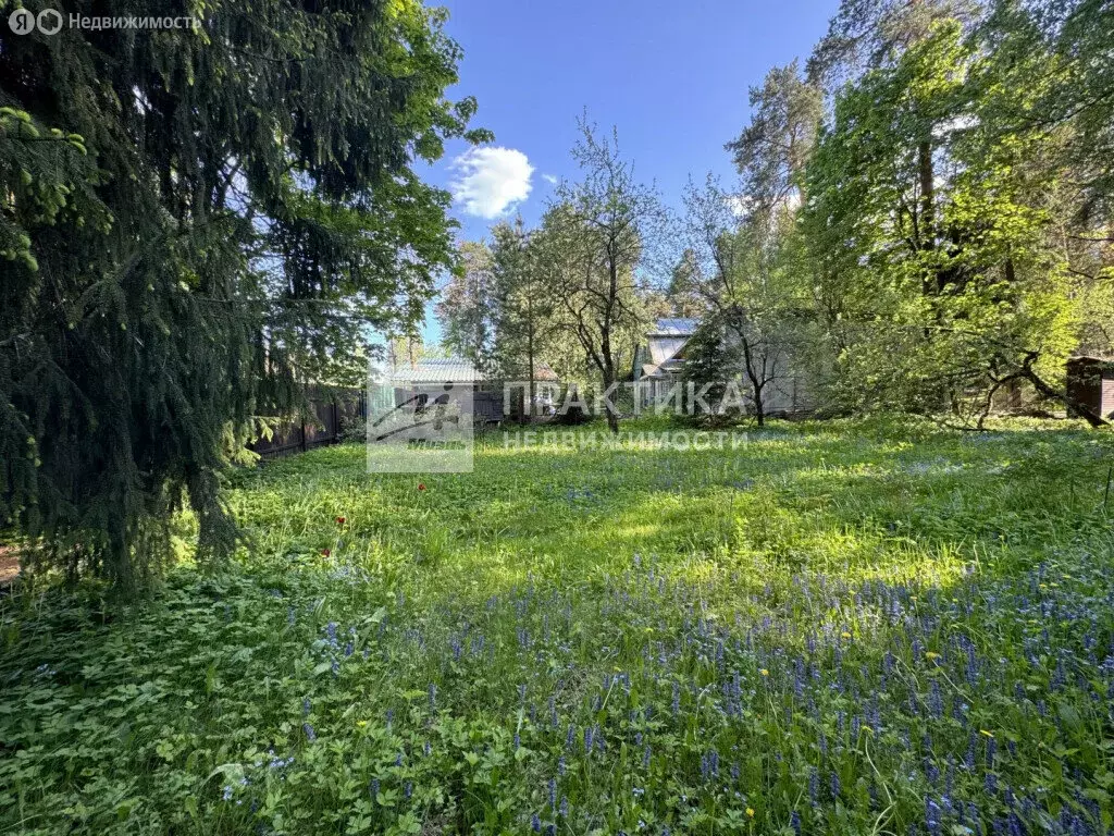 Дом в посёлок городского типа Зеленоградский, улица Земледелия (61 м) - Фото 2