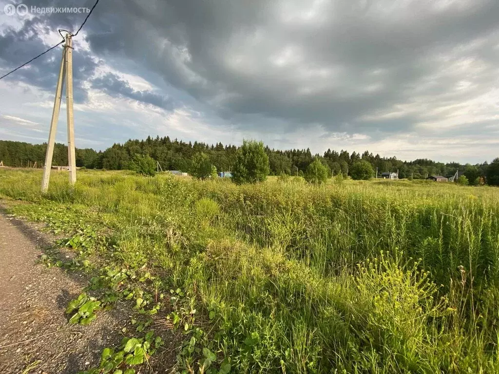 Участок в Клопицкое сельское поселение, деревня Сельцо, садовое ... - Фото 1