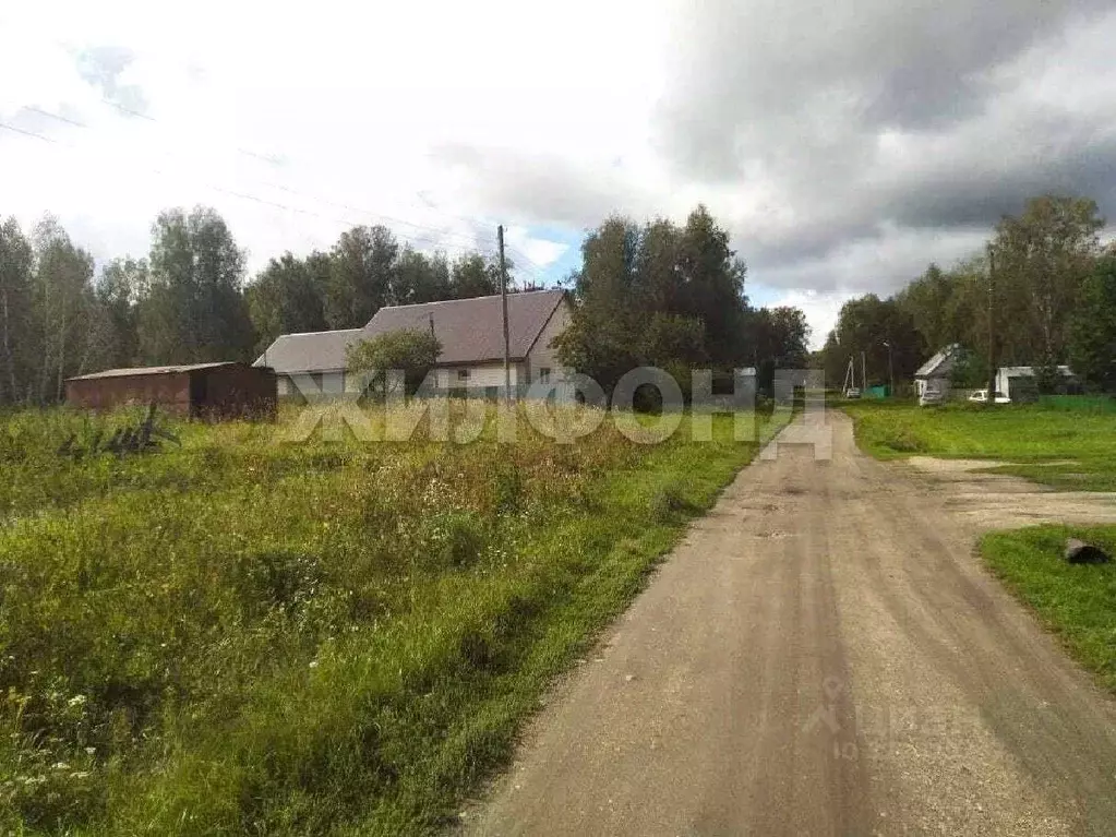 Участок в Новосибирская область, Коченевский район, с. Катково Майская ... - Фото 2