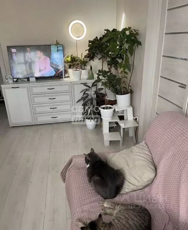 3-к кв. Липецкая область, Липецк ул. Циолковского, 24/1 (53.0 м) - Фото 1