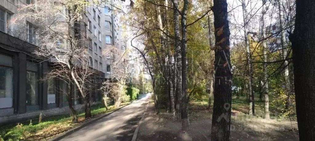 2-к кв. Санкт-Петербург просп. Маршала Блюхера, 14 (50.5 м) - Фото 1