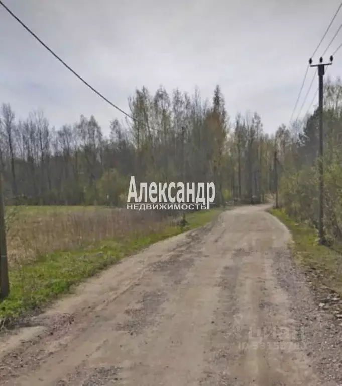 Участок в Ленинградская область, Выборгский район, Красносельское ... - Фото 2