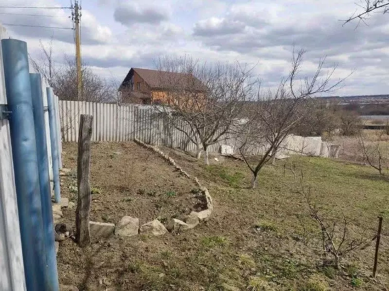 Участок в Белгородская область, Белгородский район, Беловское с/пос, ... - Фото 1