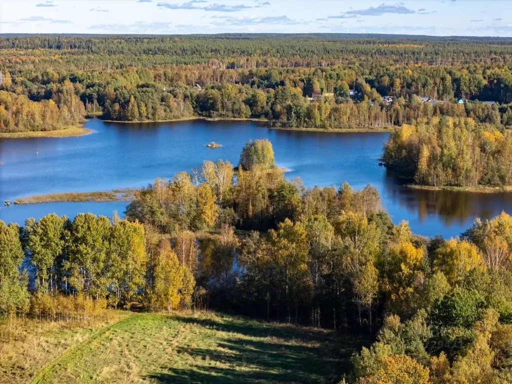 Участок в Ленинградская область, Приозерский район, Ромашкинское ... - Фото 1