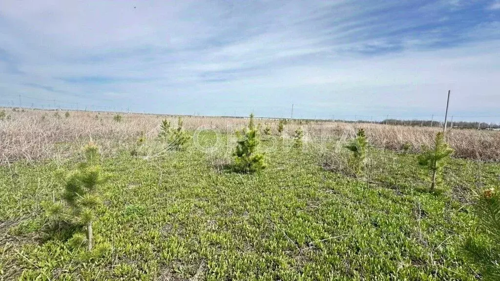 Участок в Тюменская область, Тобольский муниципальный округ, ... - Фото 1