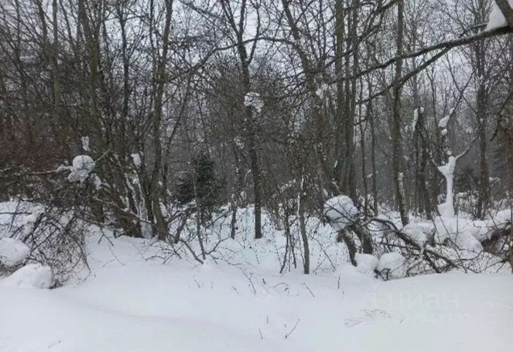 Участок в Московская область, Дмитровский муниципальный округ, д. ... - Фото 0