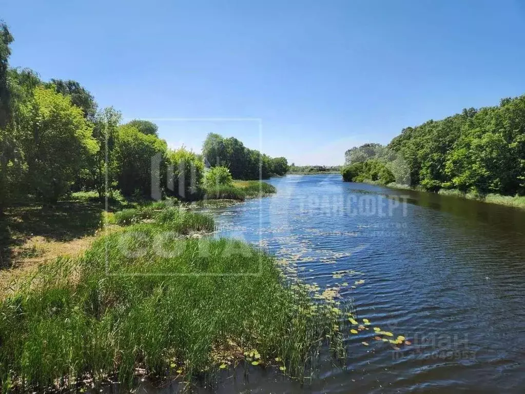 Участок в Воронежская область, Новоусманский район, Усманское 1-е ... - Фото 1