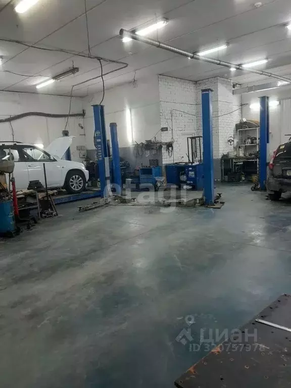 Помещение свободного назначения в Тюменская область, Тюменский район, ... - Фото 0