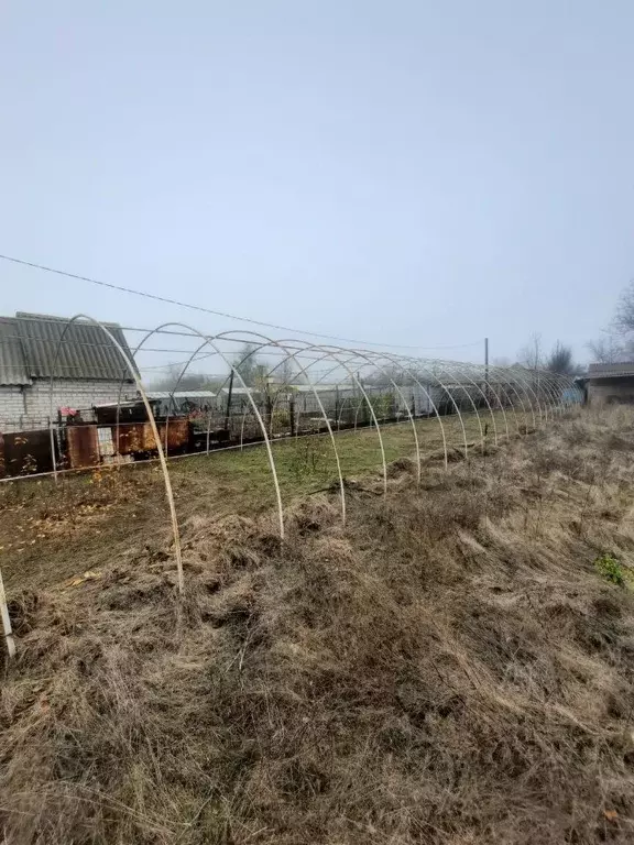 Участок в Волгоградская область, Городищенский район, Орловское с/пос, ... - Фото 1