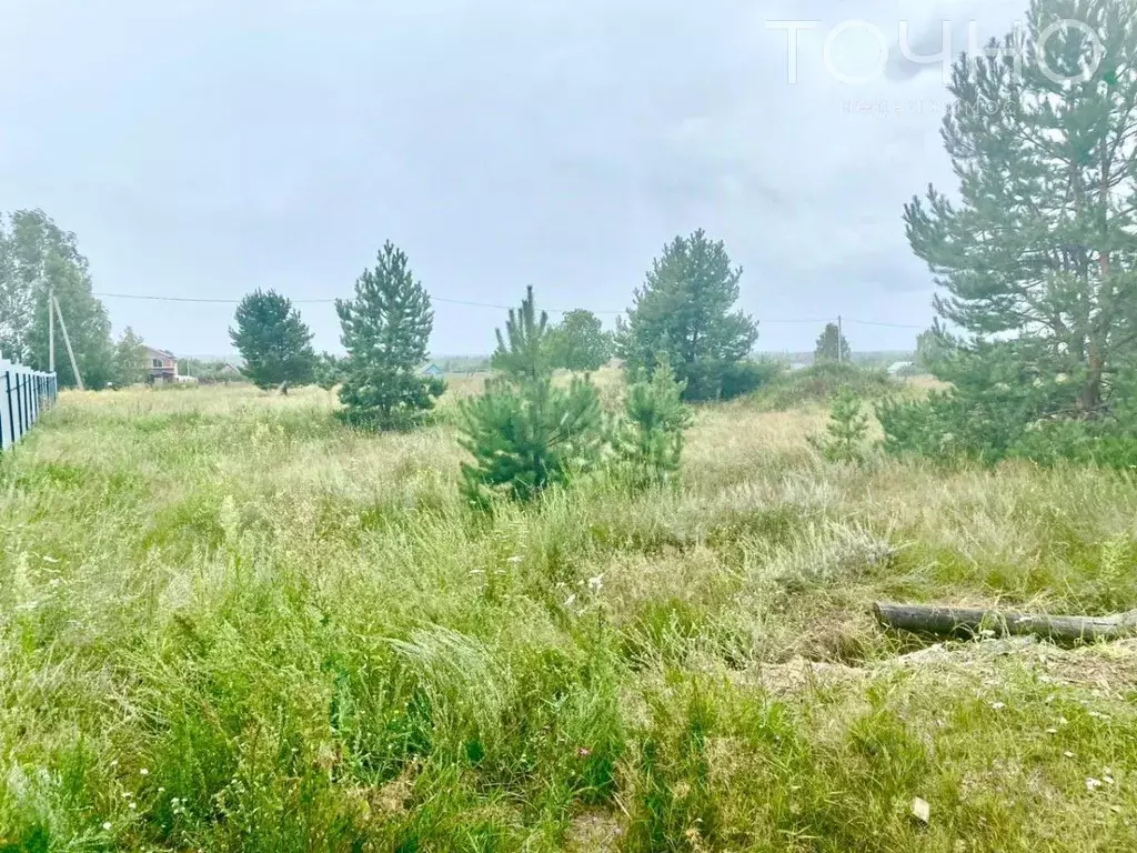 Участок в Пензенская область, Бессоновский район, Сосновский ... - Фото 1