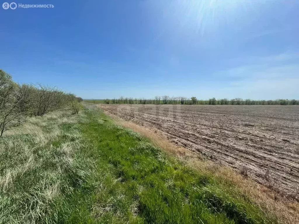 Участок в Симферопольский район, посёлок городского типа Николаевка ... - Фото 1