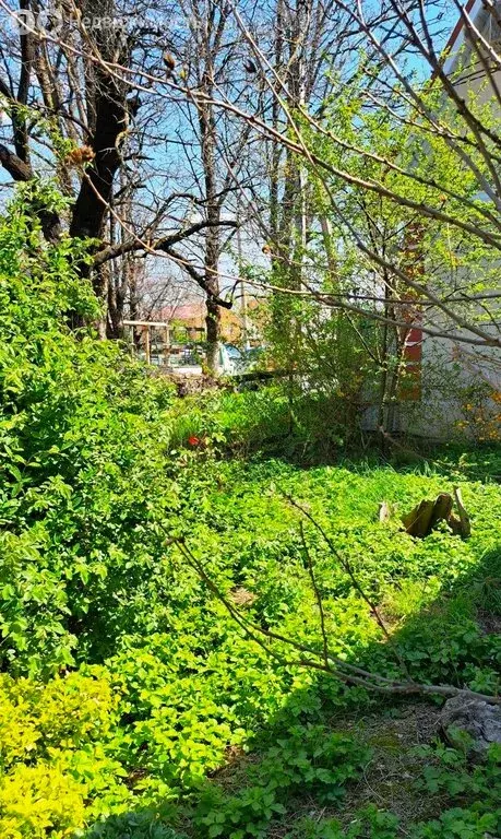 Дом в Краснодарский край, Новороссийск, территория Цемдолина (35 м) - Фото 2