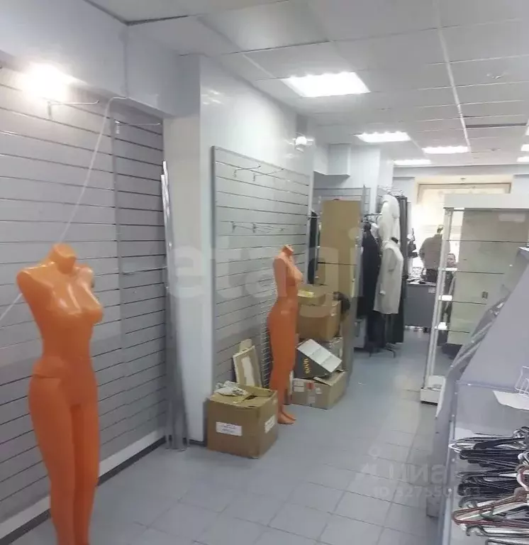 Торговая площадь в Свердловская область, Нижний Тагил просп. ... - Фото 1