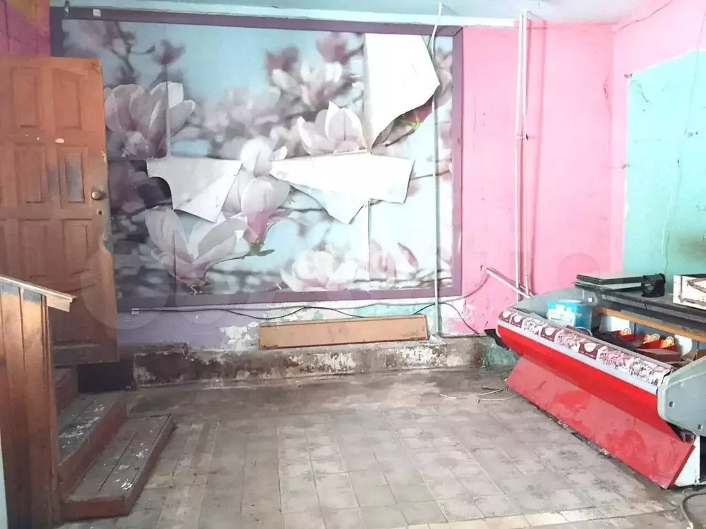 Продам помещение свободного назначения, 31.1 м - Фото 1
