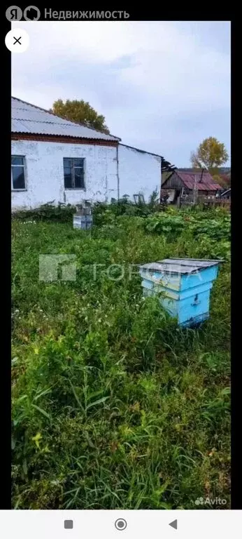 1-комнатная квартира: Черепановский район, село Татарка, Заречная ... - Фото 1